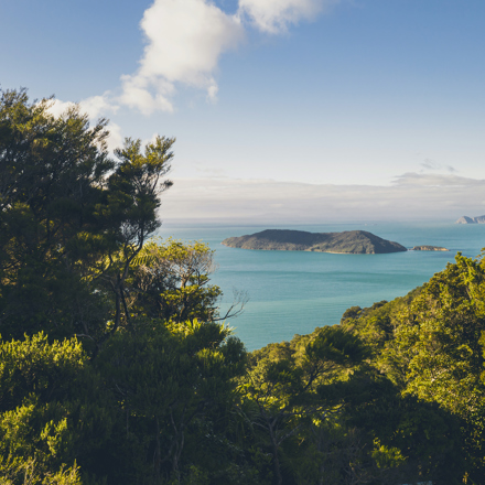 View north of Motuara Island from the hilltop Ship Cove/Resolution Bay lookout on the Queen Charlotte Track.