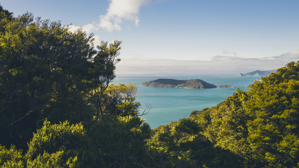 View north of Motuara Island from the hilltop Ship Cove/Resolution Bay lookout on the Queen Charlotte Track.