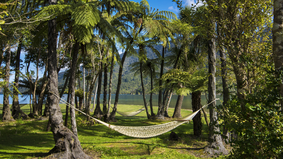 Hammocks between native ponga tree ferns with sheltered sea view at Furneaux Lodge in the Marlborough Sounds, New Zealand