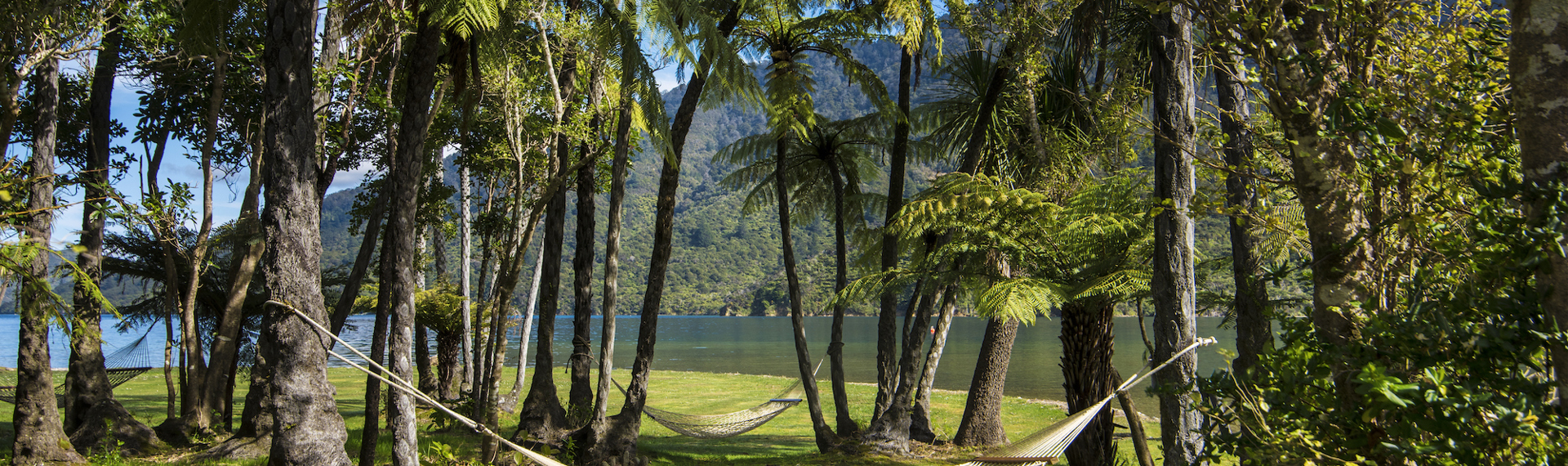 Hammocks between native ponga tree ferns with sheltered sea view at Furneaux Lodge in the Marlborough Sounds, New Zealand