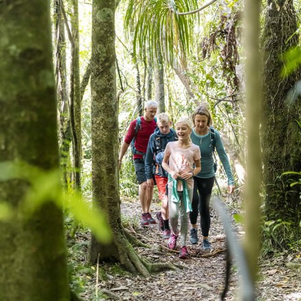 Family walks through New Zealand native forest along the Queen Charlotte Track in New Zealand's Marlborough Sounds.