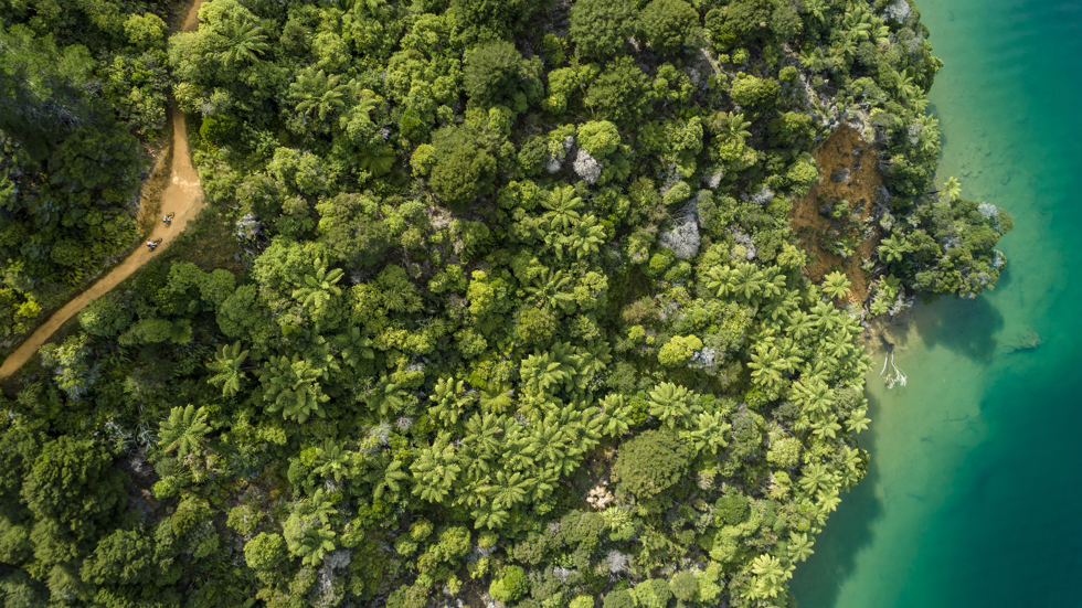 Aerial image of two bikers biking the track through bush edging the water.