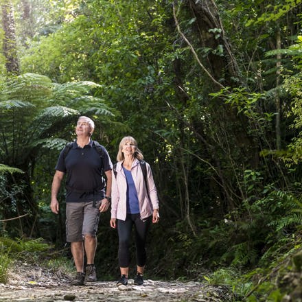 Couple walk through native New Zealand forest along the Queen Charlotte Track in the Marlborough Sounds.