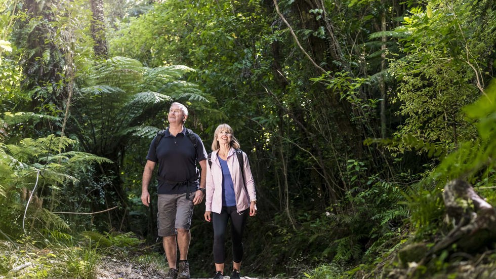 Couple walk through native New Zealand forest along the Queen Charlotte Track in the Marlborough Sounds.