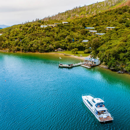 An aerial view of Punga Cove bay and the property accommodation in Endeavour Inlet n the Marlborough Sounds in New Zealand's top of the South Island