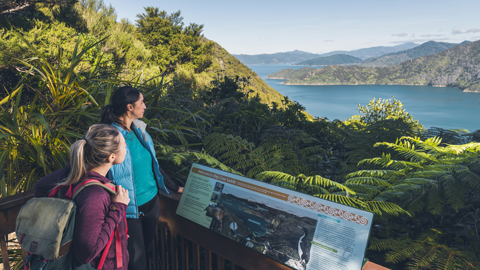 Two women walkers stand at a lookout on the Queen Charlotte Track looking over Resolution Bay.